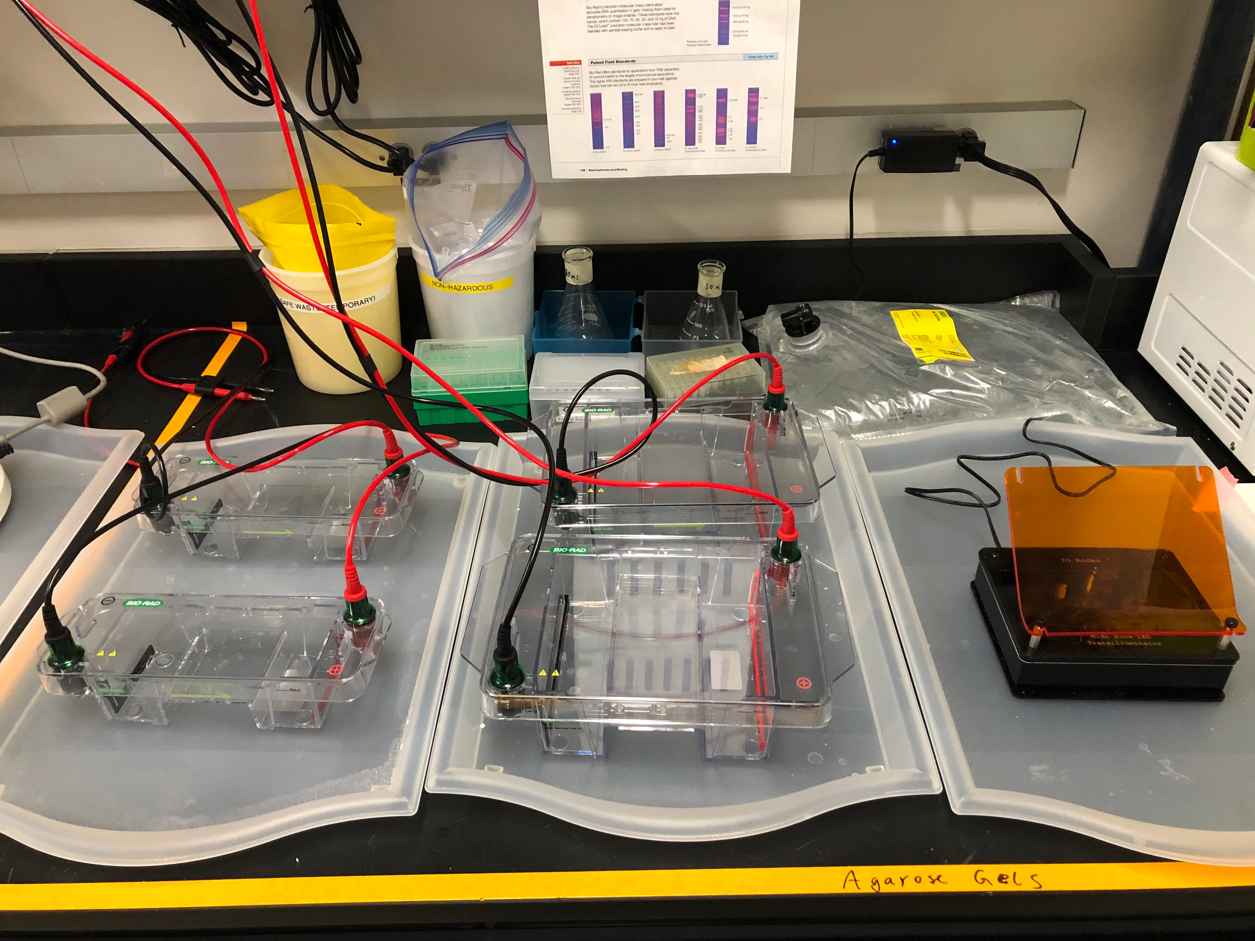 Instruments Nicklisch Lab